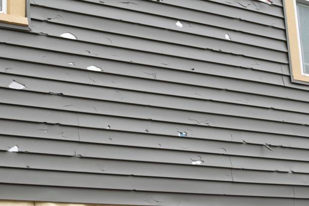 Best Siding Removal and Disposal  in Pflugerville, TX