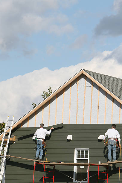 Best Custom Siding Design  in Pflugerville, TX